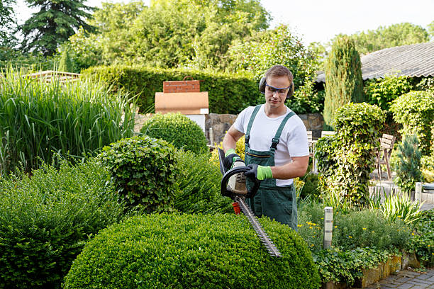 Reliable Garretson, SD Tree Services Solutions